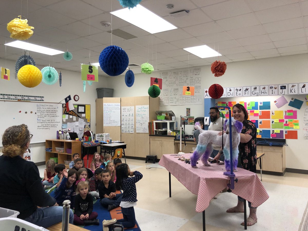 ColtElementary's tweet photo. Dog grooming ⁦@ColtElementary⁩ STEAM day  #coltlives212 #coltriseup https://t.co/gXdKCeNLoc
