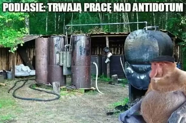 WojcickiJozef's tweet photo. @aleJajaKidawa ojojoj https://t.co/rHuXfZrCA9