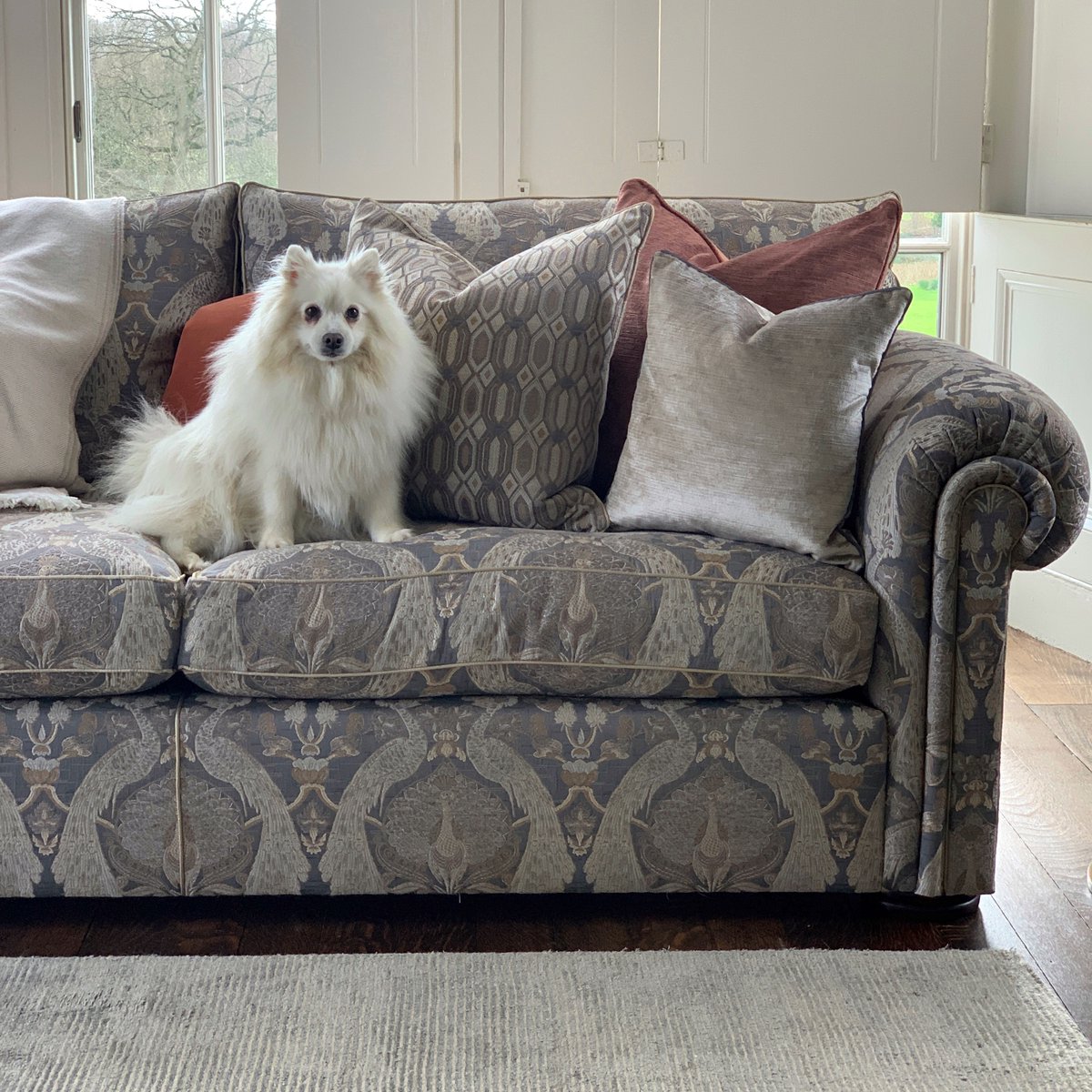 We met the perfect Duresta model during our photoshoot this week 🐶

Visit our website to discover Kiba's model of choice, the Waldorf: duresta.com/range/waldorf/
