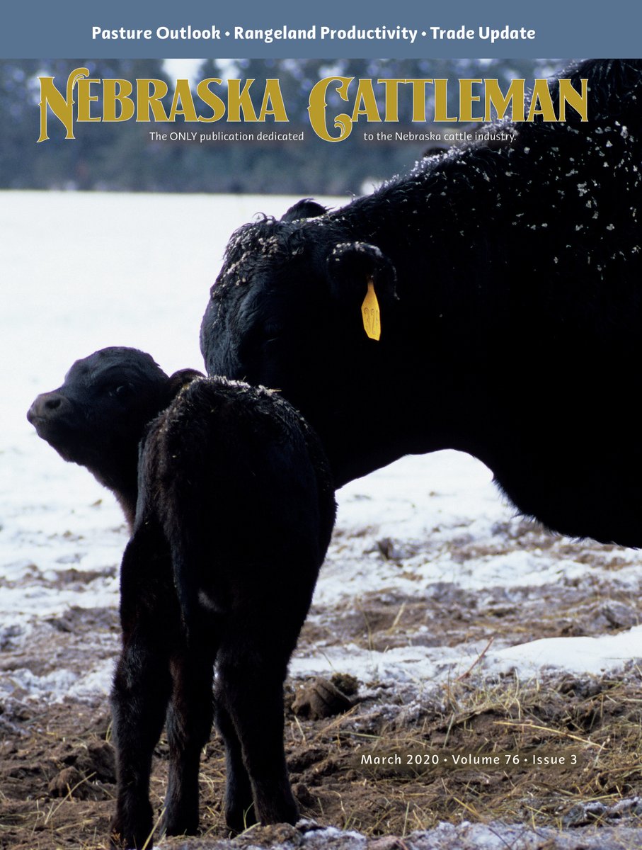 NECattlemen's tweet photo. March 2020 Nebraska Cattleman is online. Bull Sales, Pasture Outlook, Trade Update and much more!
#trade #pastures #cattle #bullsales #beef #realmeatact
Read it here: https://t.co/Q25ZUC9m0R https://t.co/y07wCvKTPS