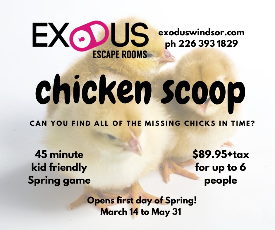 Bookings are open. The game opens on 14 March, in time for March break. Puzzles for kids and challenges for adults too so bring the whole family for 1 low price. #YQG #MarchBreak #https://bookeo.com/exoduswindsor?type=415543TANPL170836C4551