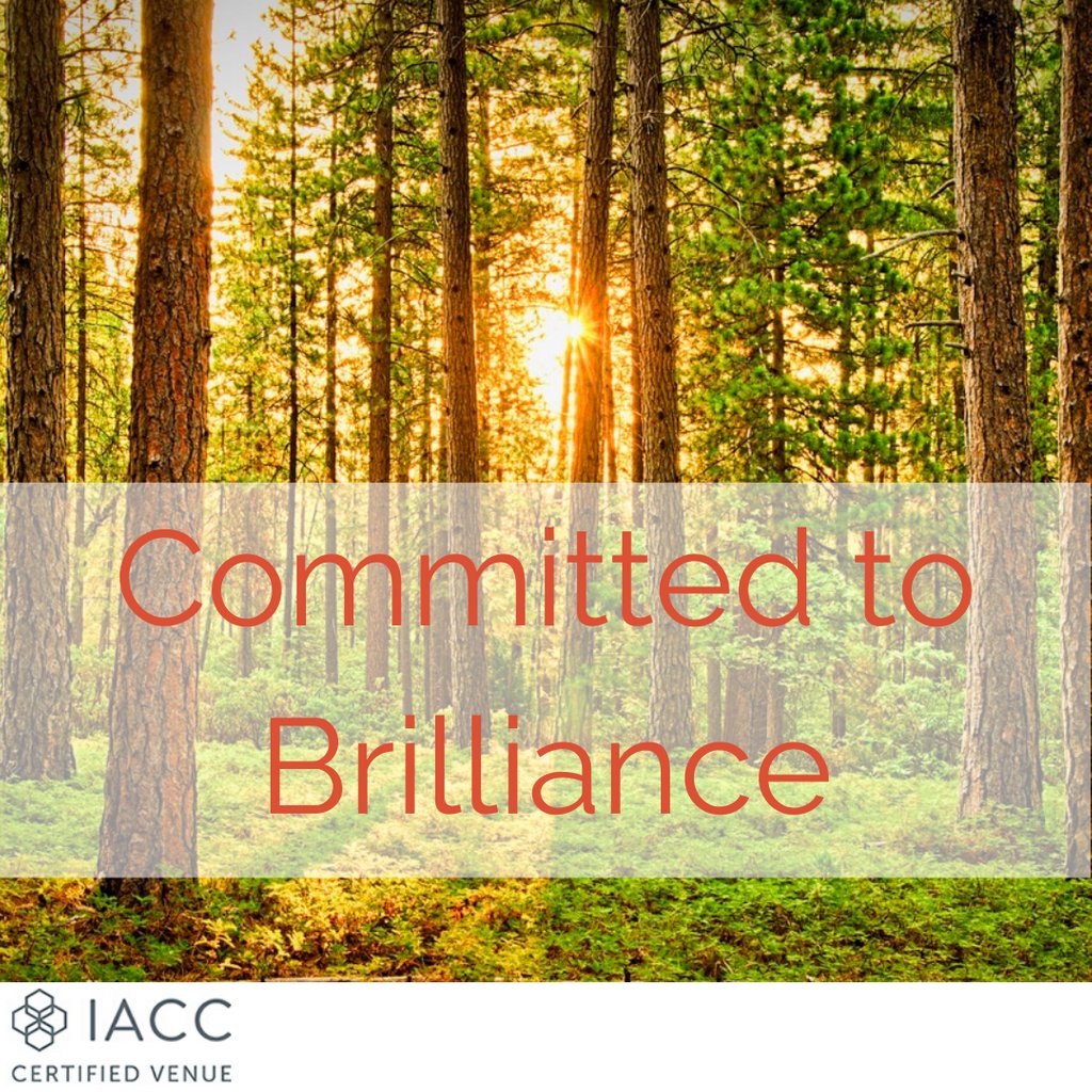 IACCmeetings's tweet image. Cutting-edge technology is essential to stand out meetings. By booking an IACC certified venue, you don’t need to worry about ensuring your delegates can easily get – and stay – connected. Find out more about how we're committed to brilliance at bit.ly/3280JVD #venues