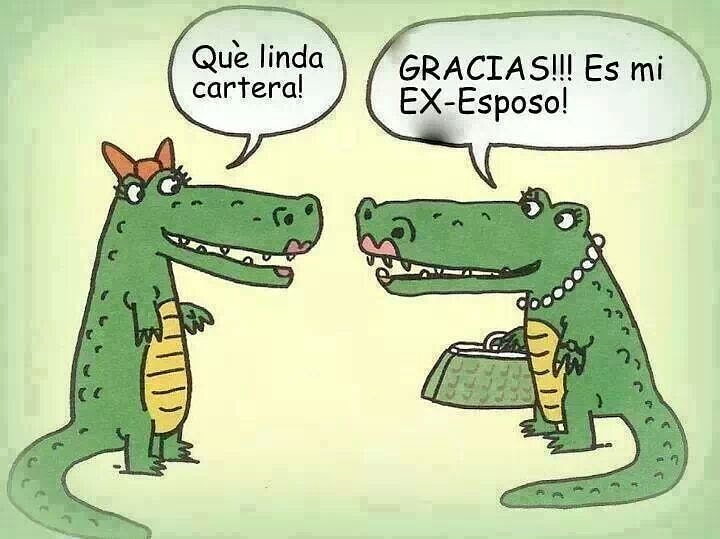 espanolconmarta's tweet photo. What a pretty handbag!
Thanks. It's my ex-husband
#SpanishMemes #MemesEspañol 
#memesespañoles #memeespanol #memesespanol 
#SpanishJokes #chistesobreespañoles #simplespanish #spanishforkids #animalmemes #animalmeme #crocodilememe #crocodilememes #crocodile #crocodiles #cocodrila https://t.co/cyUoSVIyQc