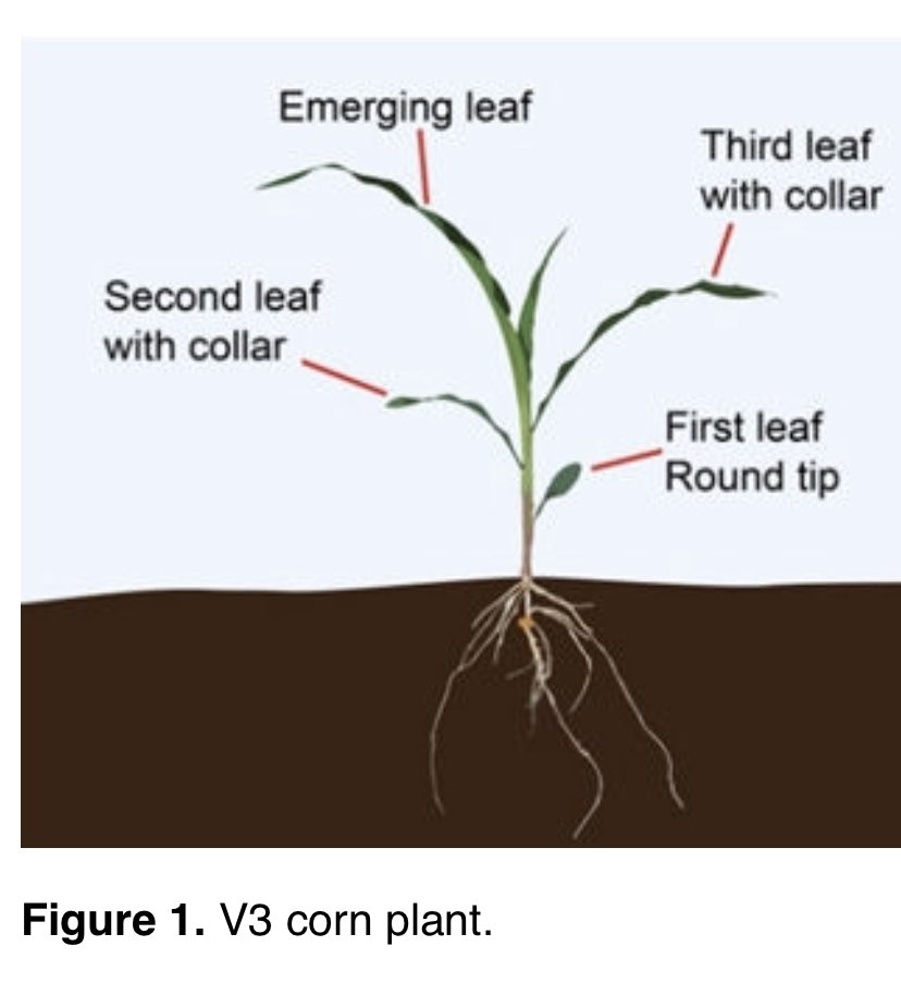 Chris Scuse tweet media
