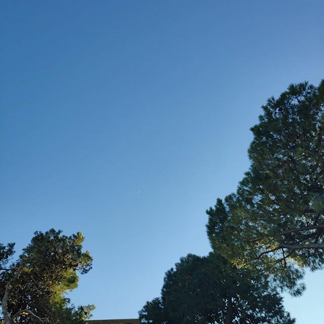 a_suardi's tweet photo. Venerdì! #quialsudcistasempreilcieloblu https://t.co/rBaTCwww2H https://t.co/ESgA0ByKVG
