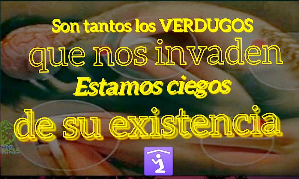 efectconciencia tweet picture