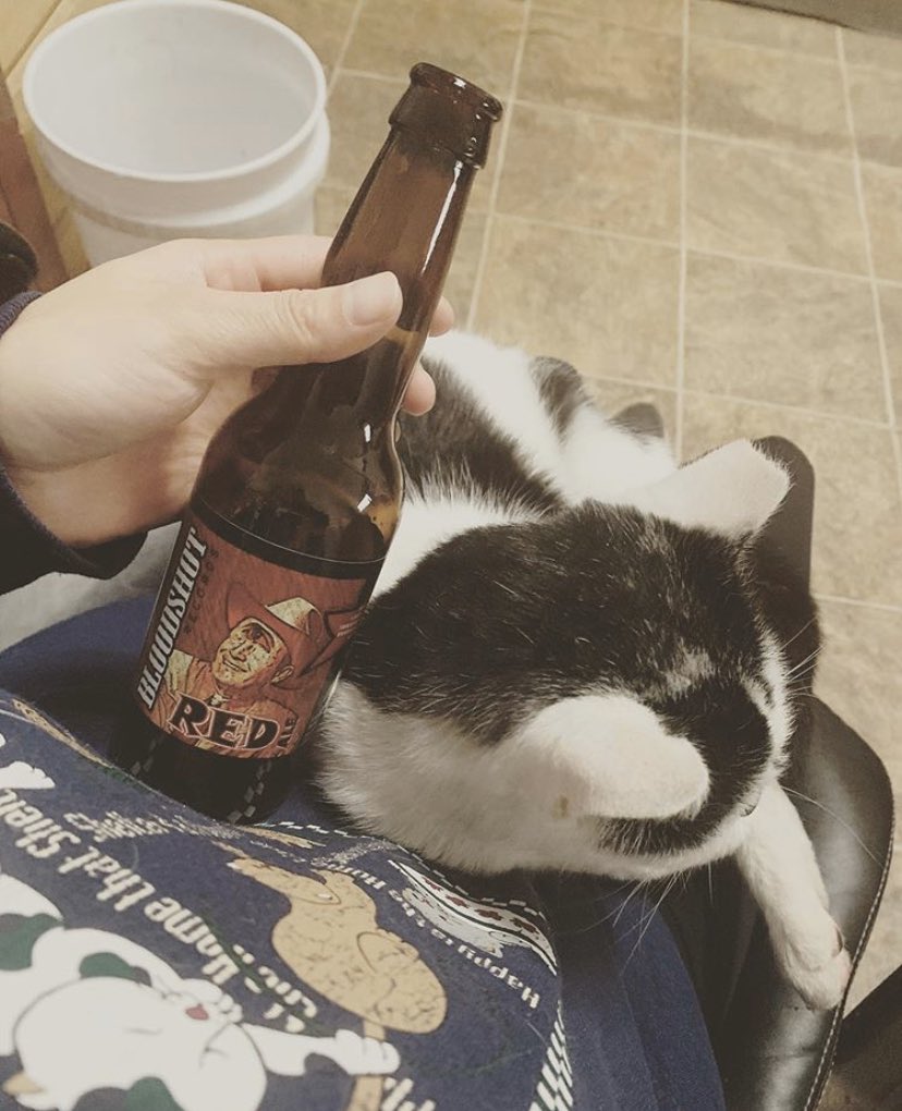 #beerofthemonth BLOODSHOT RED ALE: Citrus and fruity hop notes complement the toasted malt character with medium amber color. Brewed to honor Chicago’s own Bloodshot Records, this well rounded and hoppy beer comes with its own playlist! To download your six FREE Bloodshot songs