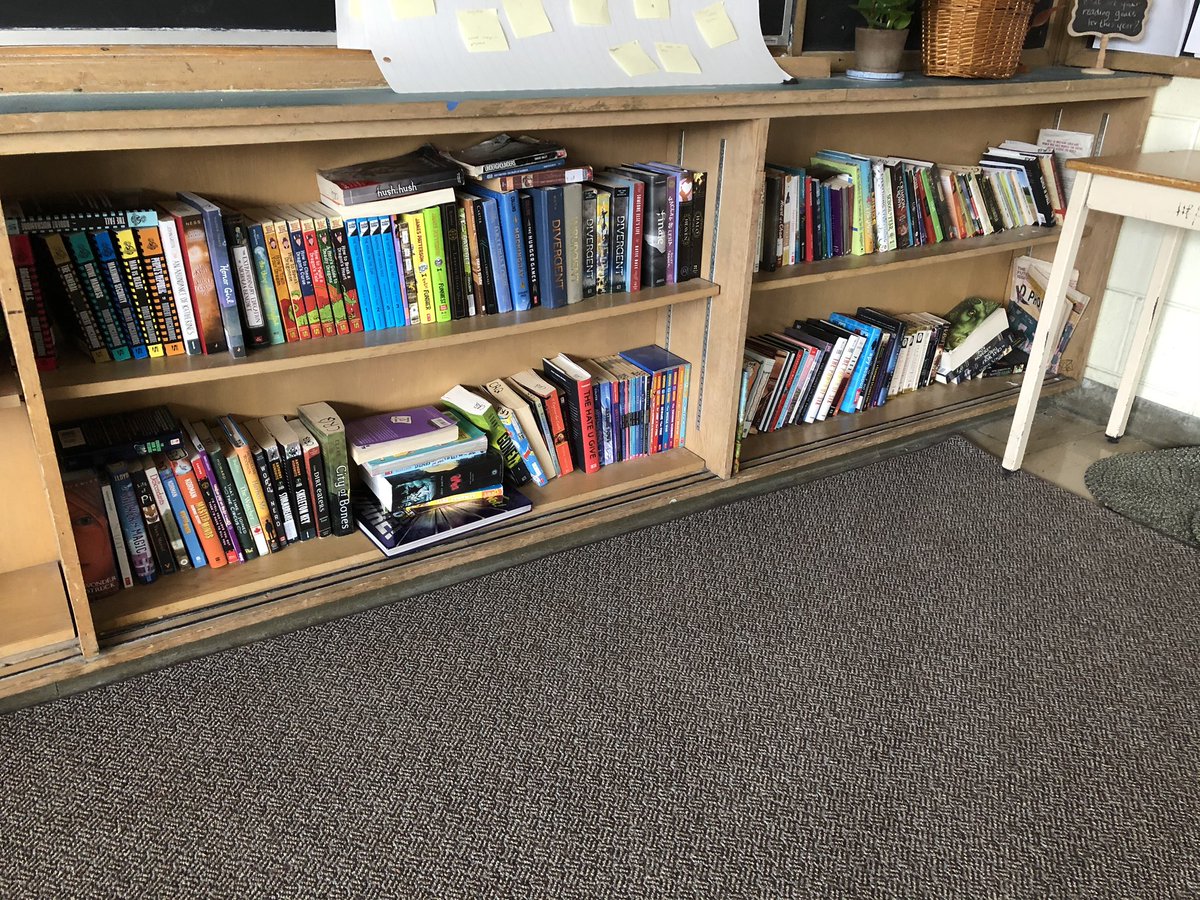 MsRoweQuinn's tweet photo. Today I am participating in an online picket to bring a voice to the REAL issues. We USE our pay to supplement our classroom resources every year. Here’s the classroom library books that I either purchased with my own money or received as donations. #istrikebeause https://t.co/Kq4Y2ytS8R