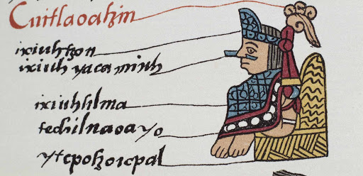 Esta epidemia supuestamente azoló Tenochtitlán después de la famosa "Noche Triste", y se dice que hasta el mismísimo tlatoani Cuitlahuac murió vícticma de ella.