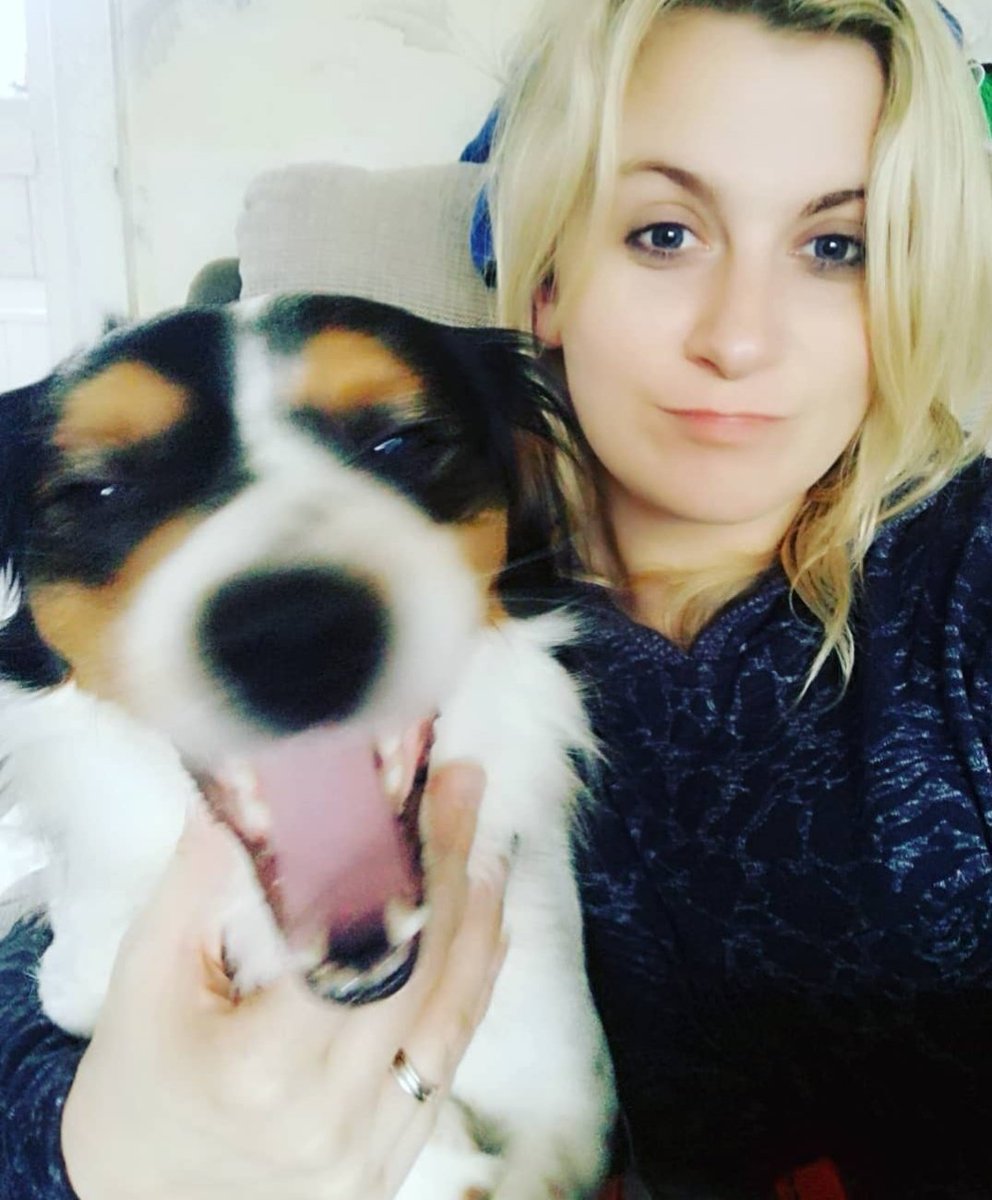 cockneybloggirl's tweet photo. Berts mental selfie face ๐ณ๐คฃ
#dogsoftwitter #jackspaniel https://t.co/9AWKOI1ZFV