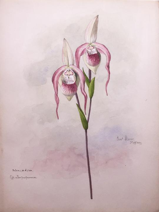 AraderGalleries tweet media