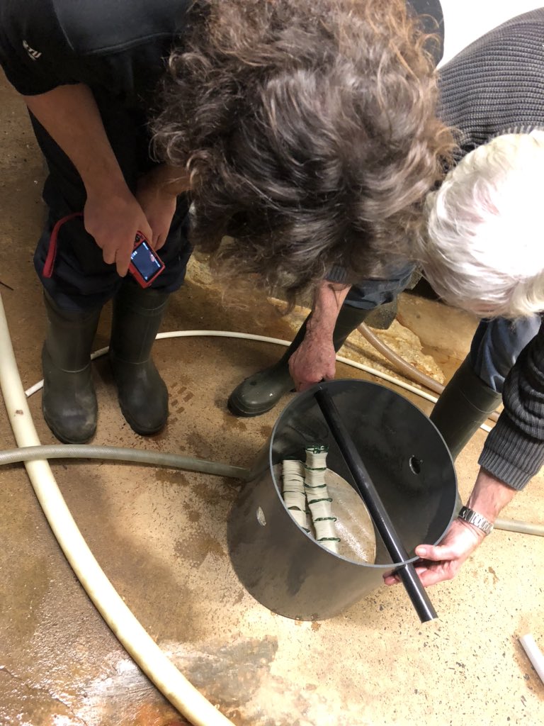 Another great day for #aquaculture with collaboration with <a href="/DSC_Denmark/">Danish Shellfish Centre</a>, <a href="/GMITOfficial/">Hurling_Kerry</a> and Cartron Point Shellfish with the development of successful method of settlement of Blue Mussels in the hatchery for the <a href="/aquavitaeEU/">AquaVitae</a> project. @GMIT_Research #H2020 #farmedintheeu