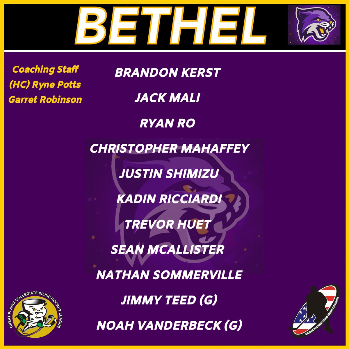 Rollerdad News (@rollerdadnews) on Twitter photo 