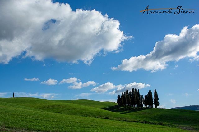 AroundSiena's tweet photo. San Quirico d'Orcia https://t.co/V0qBgD8v2M https://t.co/beEmxozF76