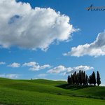 Photo by Around Siena (@AroundSiena)