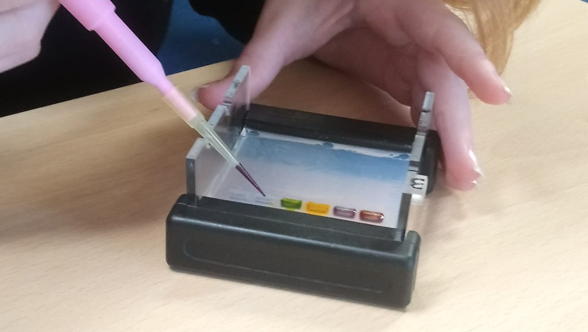 TiE4STEM's tweet photo. Is it the end of the world? Not @MagnaCartaSch  - both Yr7 &amp; Yr8 saved humanity when an asteroid hit Earth in Bunkered this week. It's just one of the workshops in a carefully planned programme the school have fully engaged with over the past year. They were truly awesome. https://t.co/XWzSyMF7c3