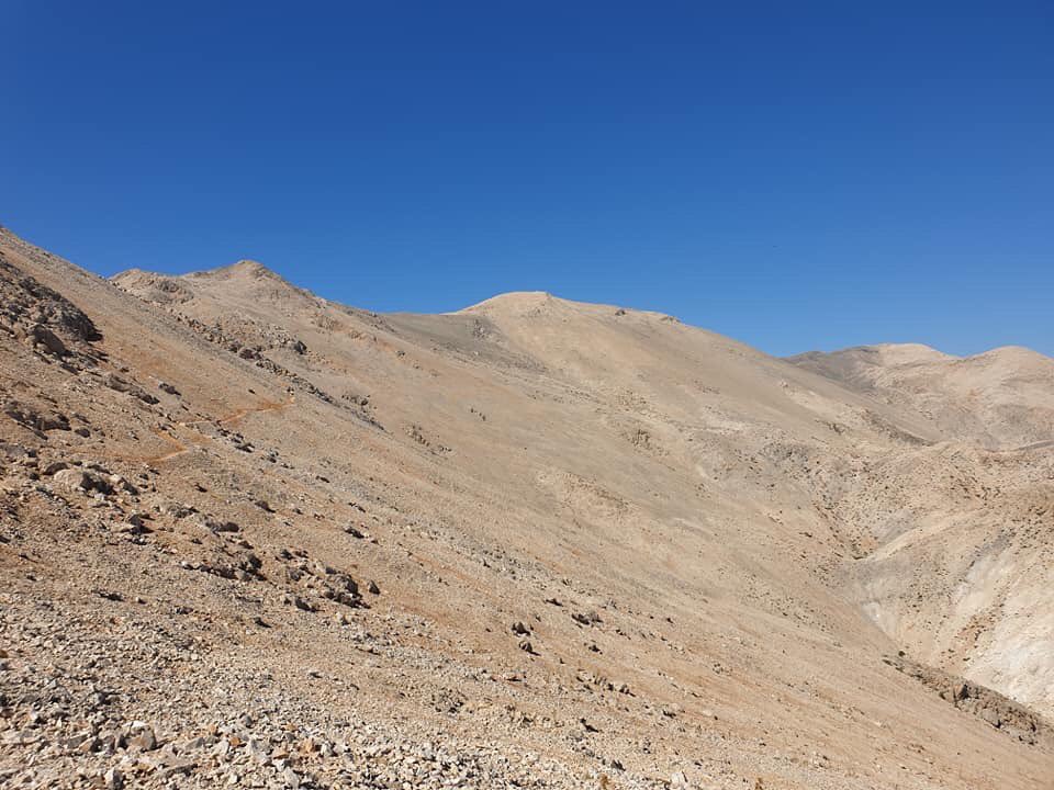 VisitSfakia's tweet photo. Lefki Ori 💜
.
.
#visitsfakia #visitchania #visitgreece #sfakia #chania #greece #σφακια #pachnes #λευκαορη #whitemountains #pachnes2453 #cretephotos https://t.co/VIuRvnIpzQ