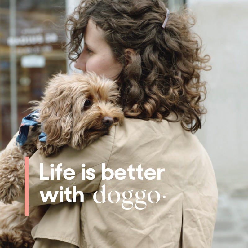 JoinDoggo's tweet image. Meet Doggo. Less Guessing, More Playing.