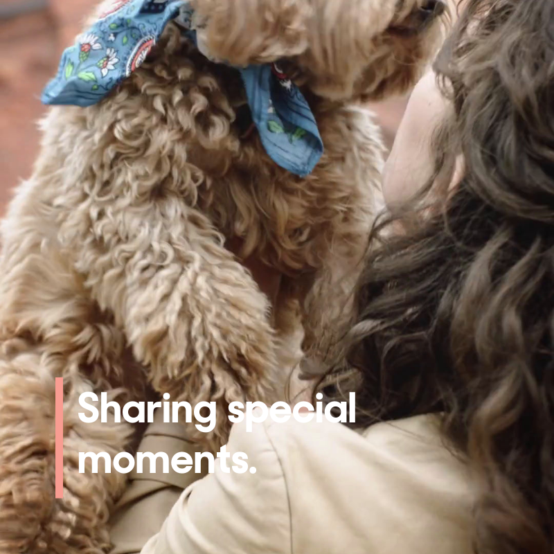 JoinDoggo's tweet image. Meet Doggo. Less Guessing, More Playing.