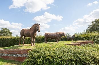 BestFayres's tweet photo. Only 9 days till one of THE Best Wedding Fayres in Suffolk
TRINITY PARK Ipswich( Suffolk Showground)
Sun 8th Mar 11am-3.30pm
More than 60 wonderful wedding suppliers and venues
Come &amp; Be Inspired for YOUR Dream Wedding! https://t.co/iZ2BkIeKEg