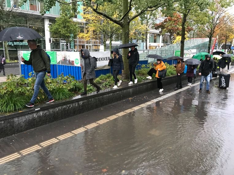 In het <a href="/parool/">Het Parool</a> staat het Gustav Mahlerplein in Zuidas als een van de grootste plassen in Amsterdam.  Toenemende versteniging en meer hoosbuien zorgen voor wateroverlast. Wist je dat groene daken een hoop van dit regenwater op kunnen vangen?