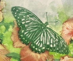 DeLaRuePlc's tweet photo. Designed by De La Rue and issued in time to appear in the red envelopes for Chinese New Year. Can you #NameThisBanknote ? https://t.co/I8CLu4AZFq