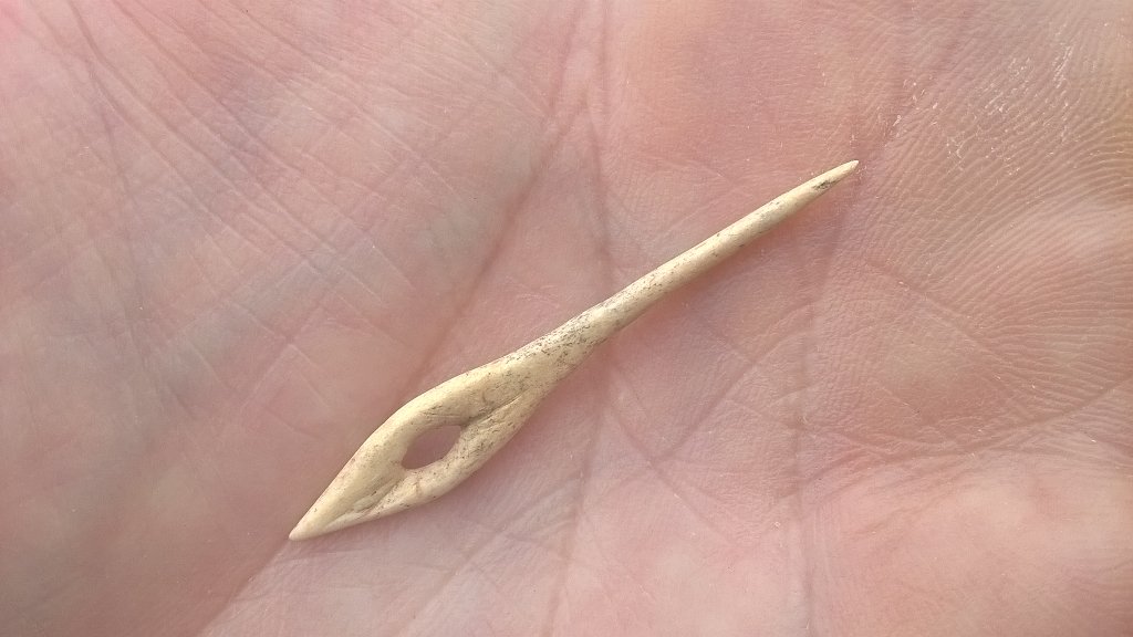 Durotrigesdig's tweet photo. One of our favourite finds from #Duropolis in #Dorset is also one of the smallest: an exquisite 42mm long bone needle from the base of an Iron Age storage pit. Love it love it love it 😍😍

#FindsFriday https://t.co/Ix4Uz3HPUu