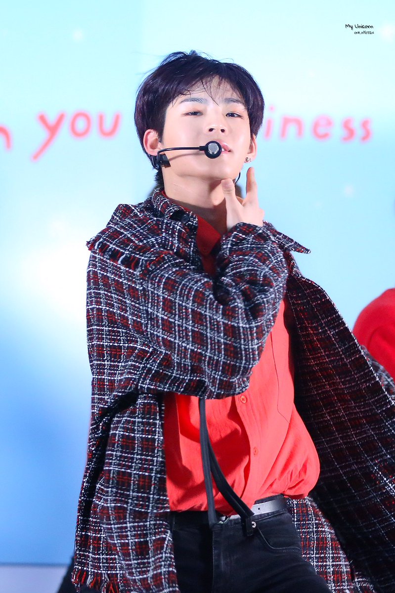 🦄내 유니콘🦄 tweet media