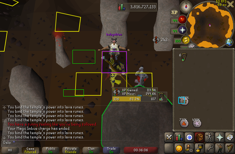 Pet #8 - Rift Guardian (27.8m xp)