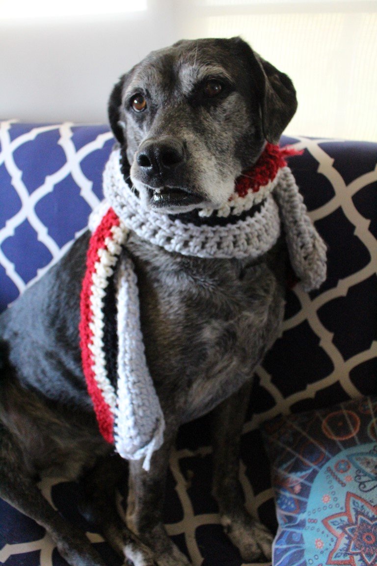 We interrupt this thread to insert Lefty in a scarf. Because he so clearly wanted to wear a scarf.