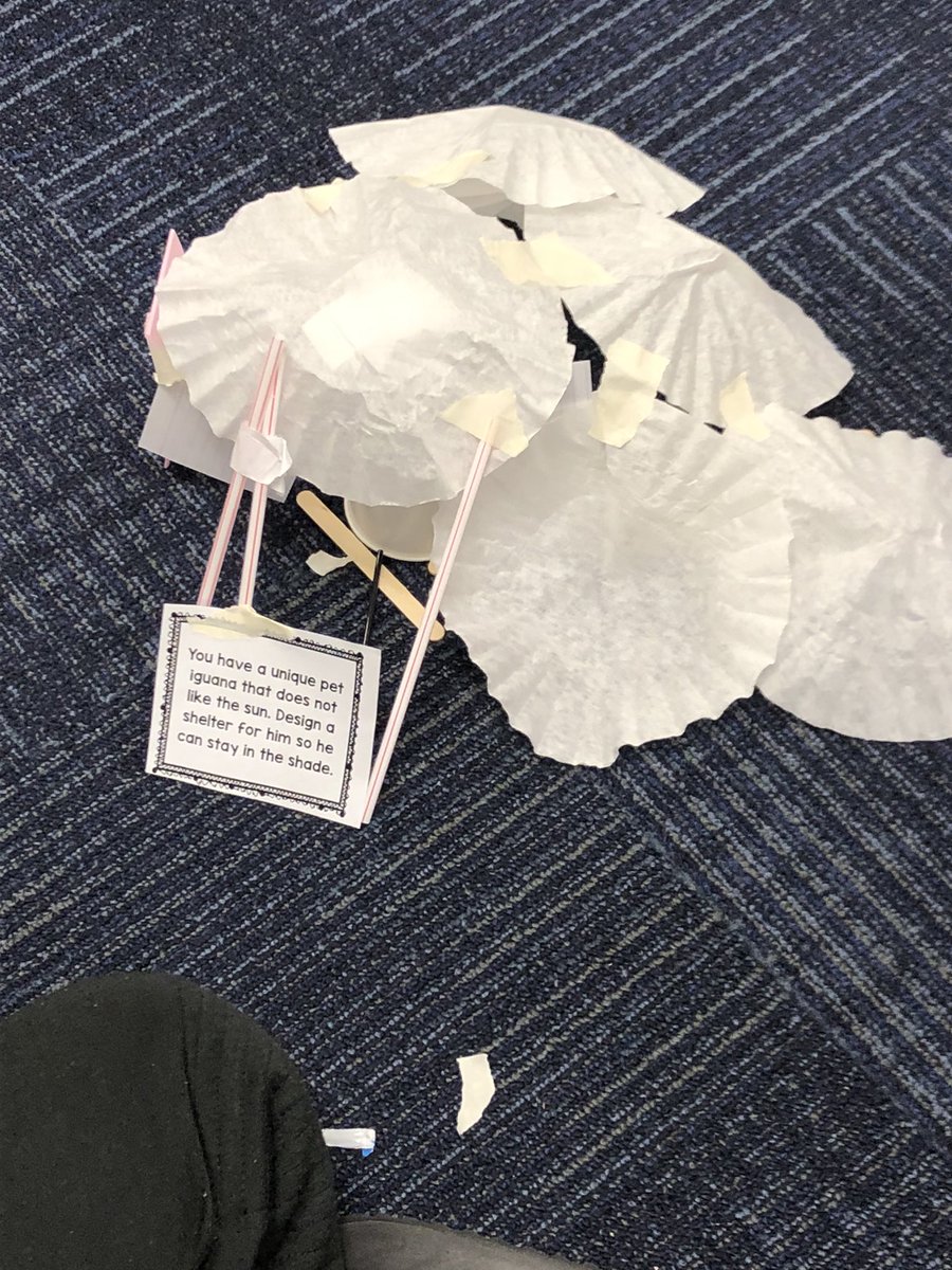 Kiera Elledge tweet media