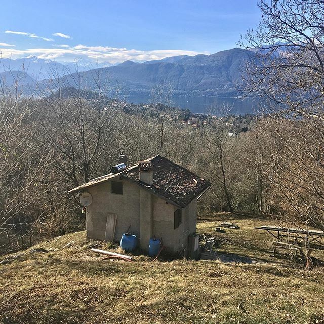 borattpetrolo's tweet photo. #coronavirus, regola numero 1 non frequentare posti affollati.. non c’è problema ci dedichiamo alla nostra casina nel #bosco e siamo@in paradiso, speriamo duri a lungo #casinanelbosco #lagomaggiore #lakemaggiore #forest #logosol #virus #aloneinthewild #s… https://t.co/8ETkgzFyny https://t.co/l0MJvYILTI