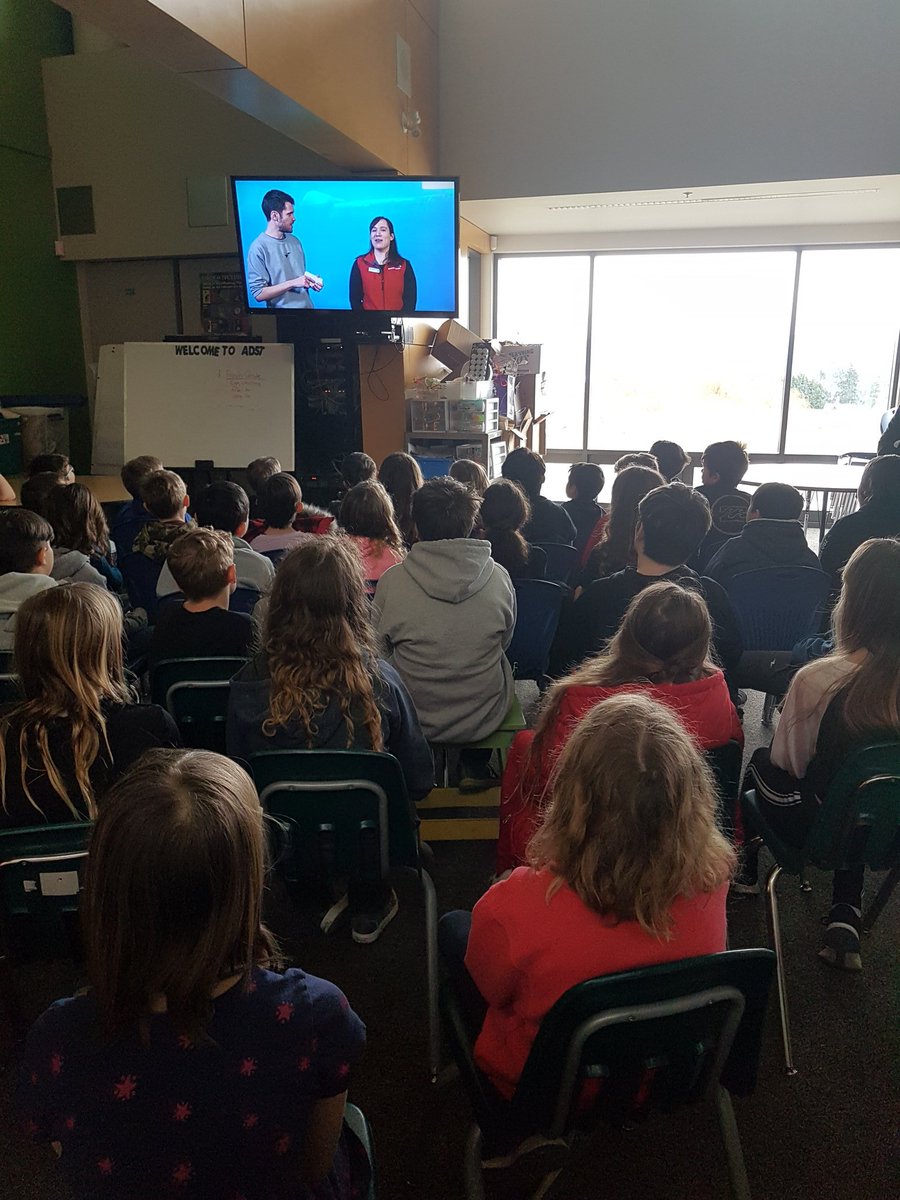 ElliotLibrary's tweet image. Three classes learning about plastics in the ocean. #LiveItOceans