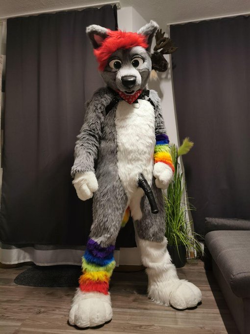 1 pic. Anyone wanna play ? Front or behind, both ends are ready for fun. Also happy #fursuitfriday or