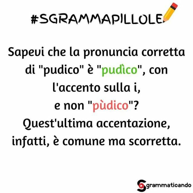fioresgramma's tweet photo. Commenta con 😱 se non lo sapevi!
⠀
Quando l'ho scoperto ho subìto un duro colpo. È proprio vero che non si finisce mai di imparare, vero? Ancora adesso mi sembra strano dire pudìco, pudìca. Infatti evito proprio di utilizzare questo aggettivo, se posso 🤣
⠀
[Pudìco (agg.)… https://t.co/0MNXbkedtG