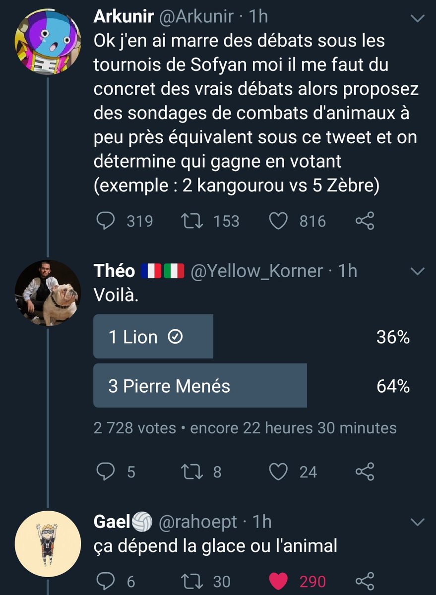 Arkunir's tweet photo. Je suis en larmes gloire à la personne qui a inventé la fonction sondage sur Twitter https://t.co/qtXo44VAF3