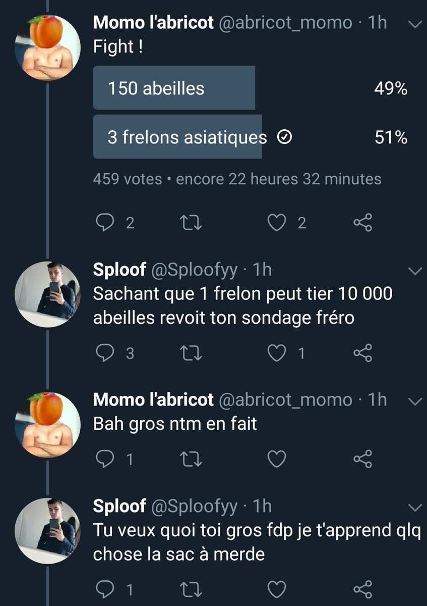 Arkunir's tweet photo. Je suis en larmes gloire à la personne qui a inventé la fonction sondage sur Twitter https://t.co/qtXo44VAF3