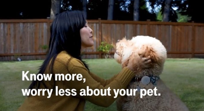 oblingerb's tweet photo. Know more, worry less about your pet with SyncUp Pets! - T-Mobile’s network-enabled pet location and activity tracker!  Visit me at 3373 Princeton Rd Hamilton, OH 45011 to grab yours today!   #FirstAndFast #BridgewaterFalls #TMobile @JdPavkovich https://t.co/6yl40Jdg2R