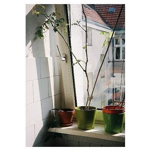 PodcastScenario's tweet photo. Marie Smith shares work from her series 28/09/2017. Read 'Can You Always Press The Shutter?' the story behind this work and how she came to make it via the link to our website in the bio.
.
Image by @marie_elaina_
.
.
.
.
.
#MarieSmith #HiddenStories #ScenarioStories #Scenar… https://t.co/9BN3l4Dm9L
