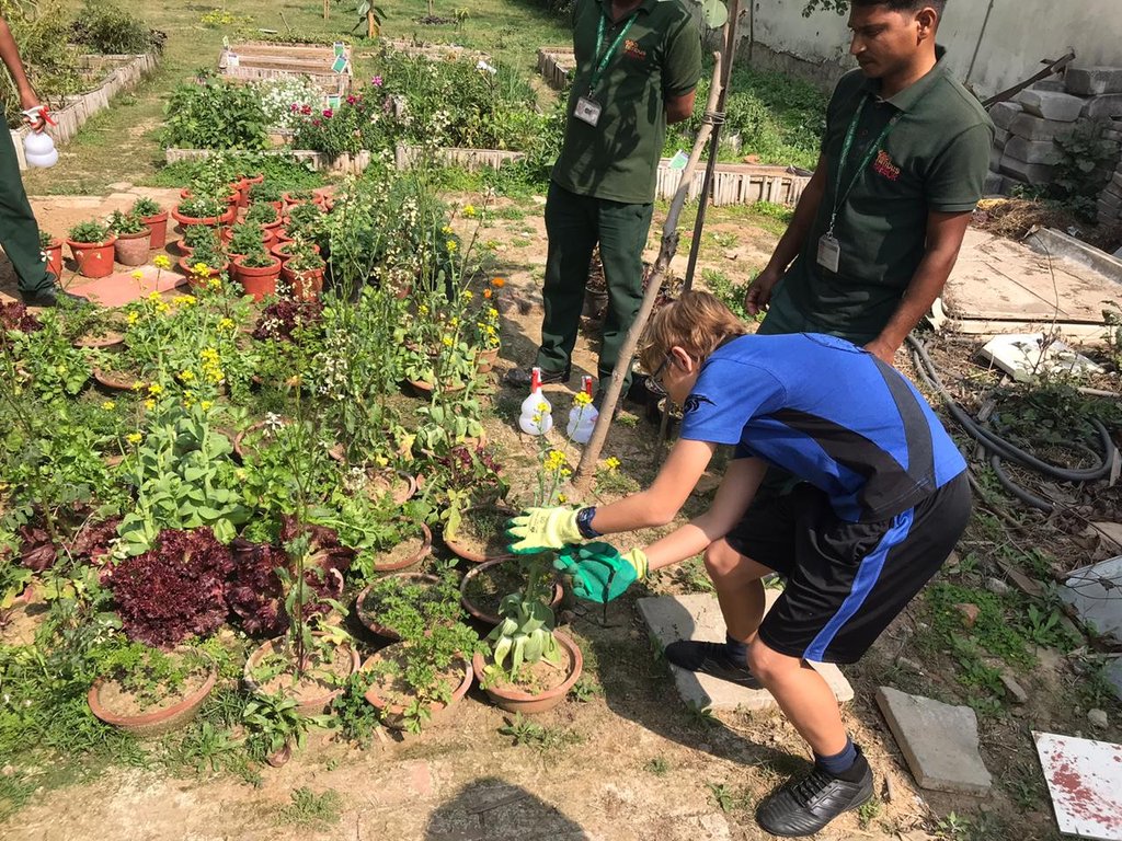 TbsCsr's tweet photo. The KS3 plant drive, students planted, nurtured, gathered and then sold the self grown herbs to the community@ TBS_CSR@TBS_Delhi https://t.co/5gs6f2mNnl