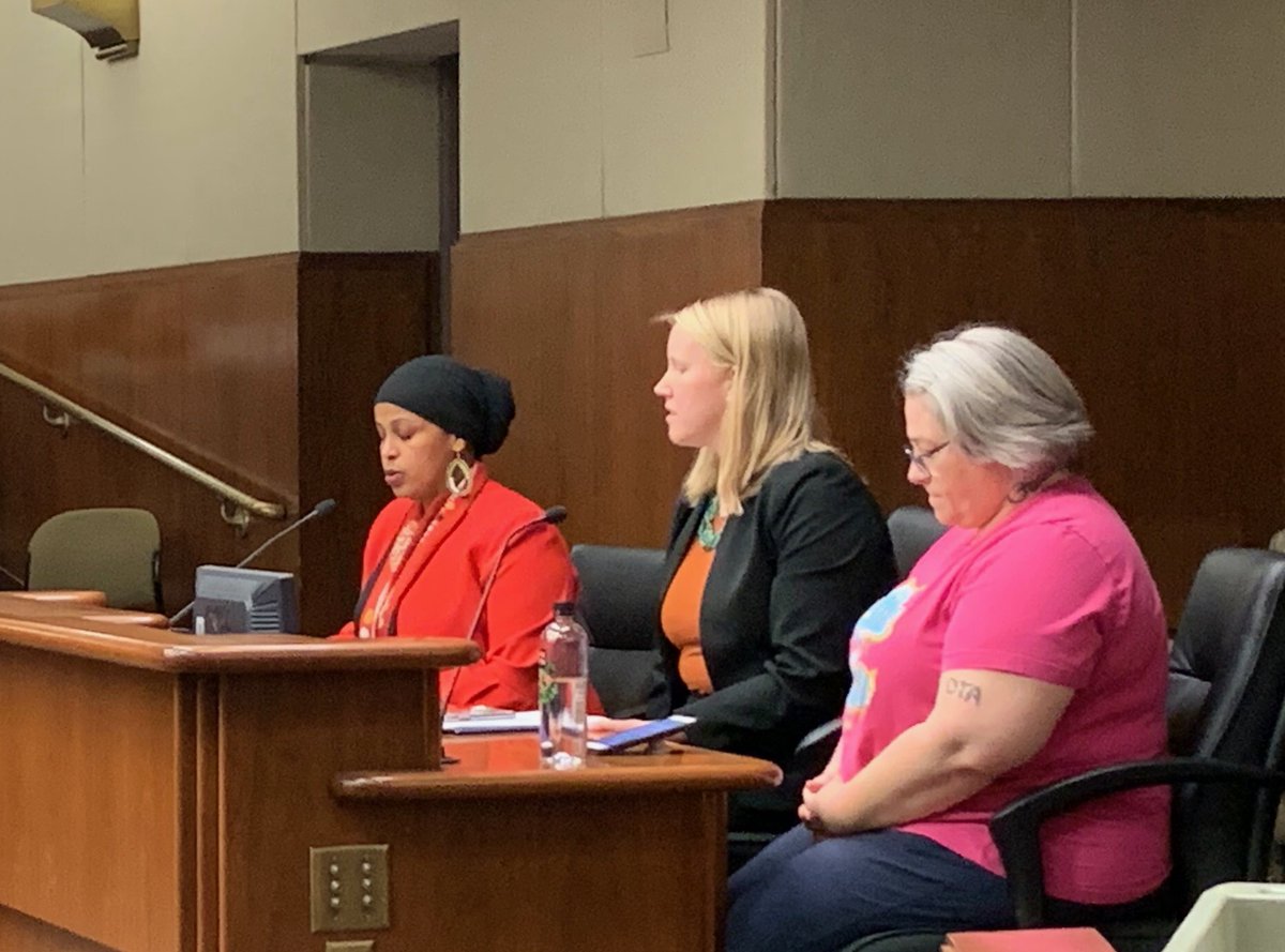 LSAP_MN's tweet photo. There are nearly 50,000 suspensions in Minnesota each year, and disproportionately for students of color and with disabilities. Today LSAP attorney Maren Hulden is fighting for non-exclusionary discipline practices so students can stay in school. #mnleg #ReThinkDisciplineMN https://t.co/wwctQHq7fH