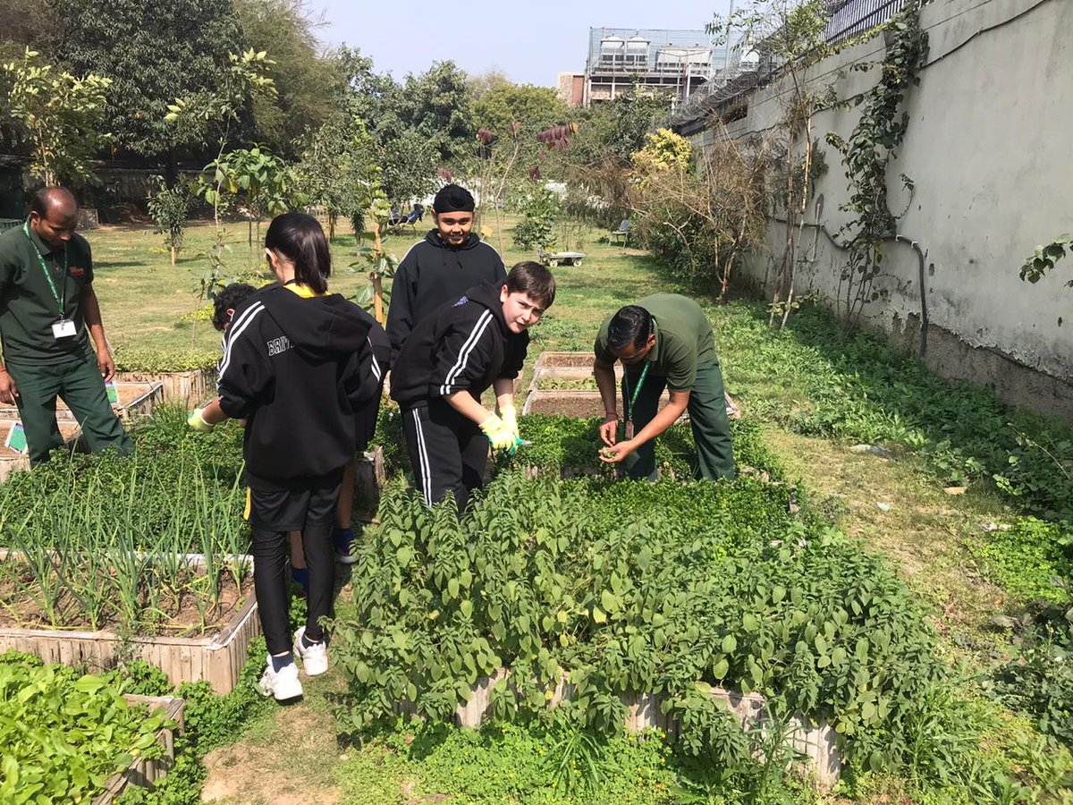TbsCsr's tweet photo. The KS3 plant drive, students planted, nurtured, gathered and then sold the self grown herbs to the community@ TBS_CSR@TBS_Delhi https://t.co/5gs6f2mNnl