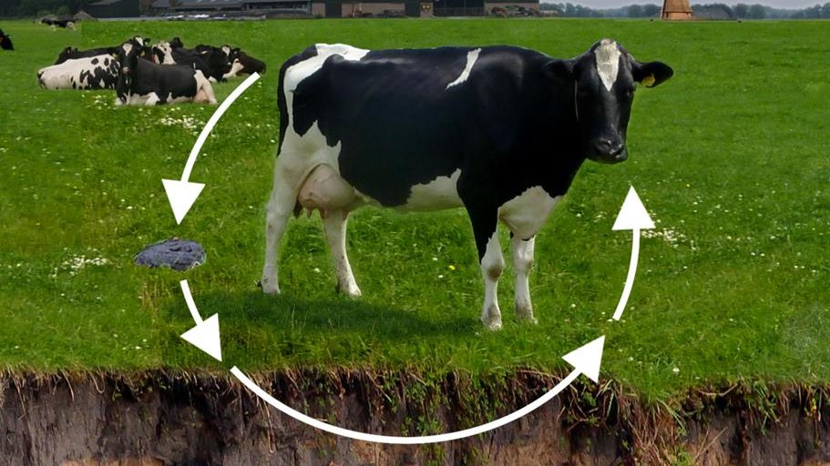 Buizer Advies - duurzame landbouw en energie tweet media