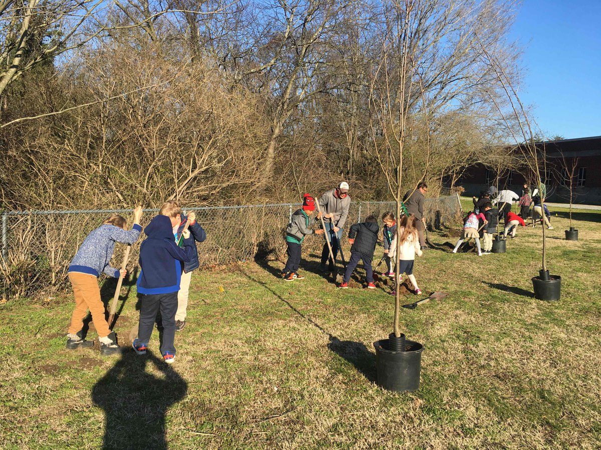 WhitsittWildcat's tweet photo. Thank you Trevecca Urban Farm and parents for helping Garden Club plant trees! @ELPGrantManager @ExtLearningMNPS @CommAchieves https://t.co/RWPDwKsylf