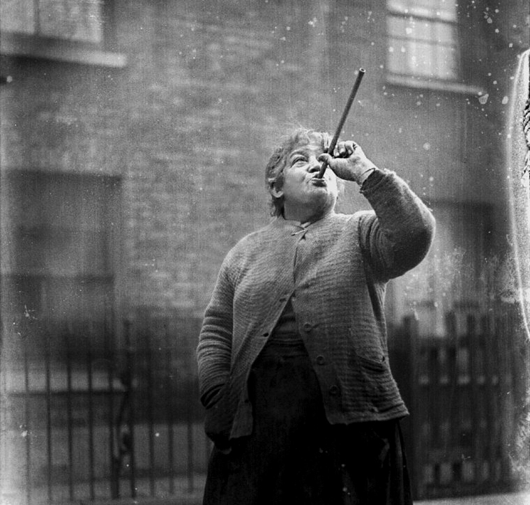 Virtus honorque. tweet media