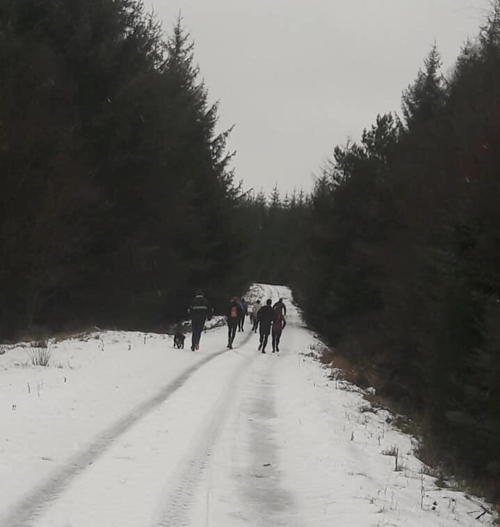 A winter run in Hamsterley Forest.