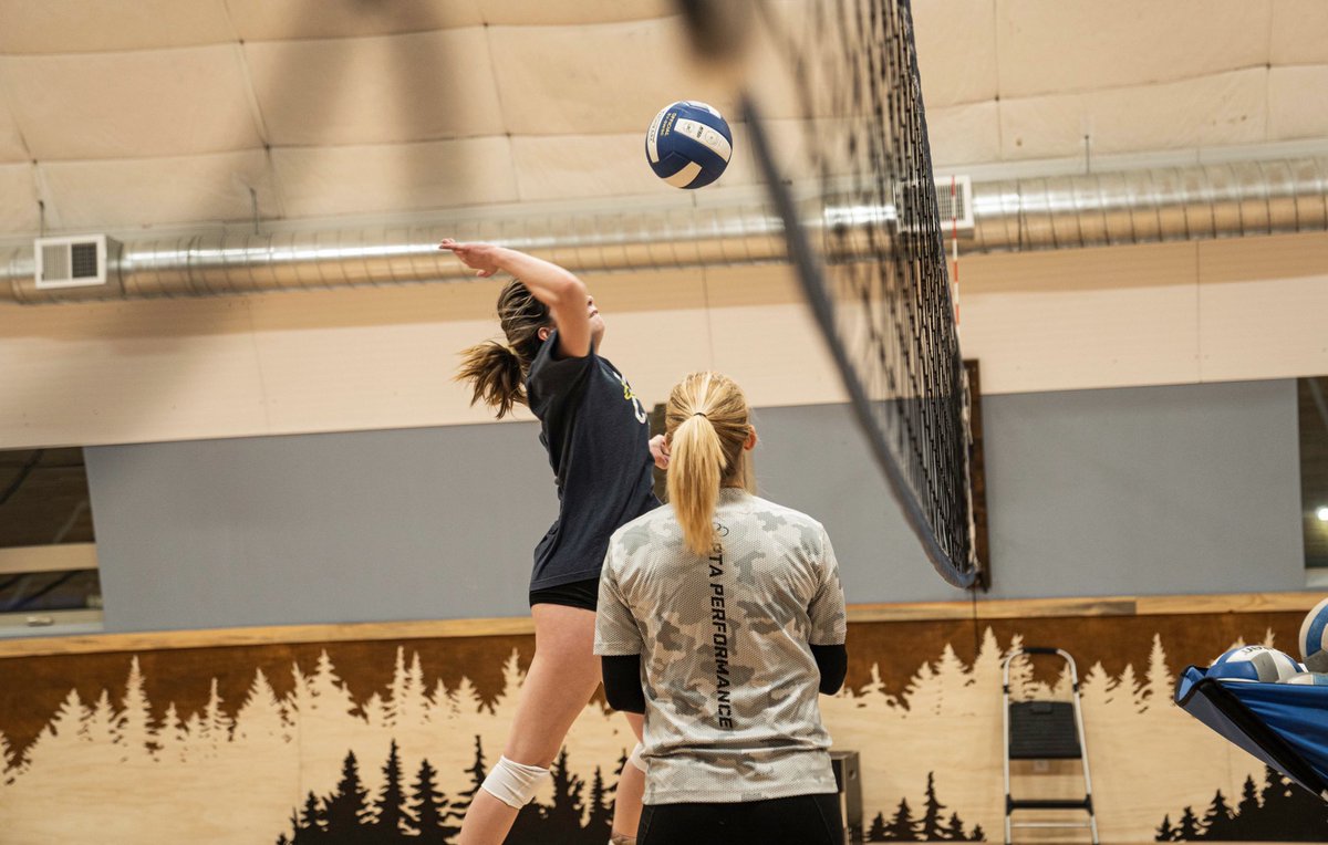 PTA Performance tweet media