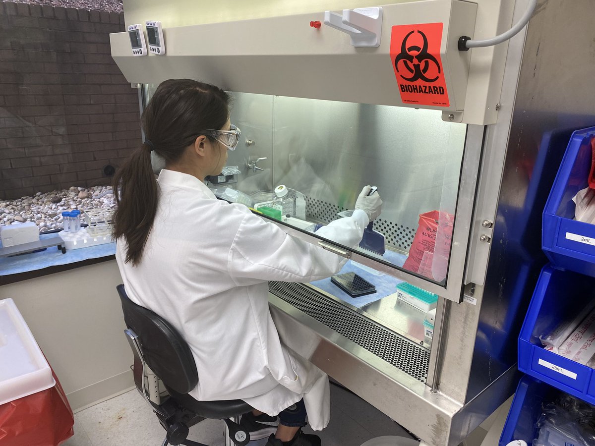 VictoriaSanchez's tweet image. Females at the Forefront —

Meet the all #women team of #scientists looking to create the first viable #vaccine for #COVID19. 
I got to see the @NovavaxInc lab in Gaithersburg, MD where they have three vaccine options they’re currently testing!
@ABC7News #coronavirus #science