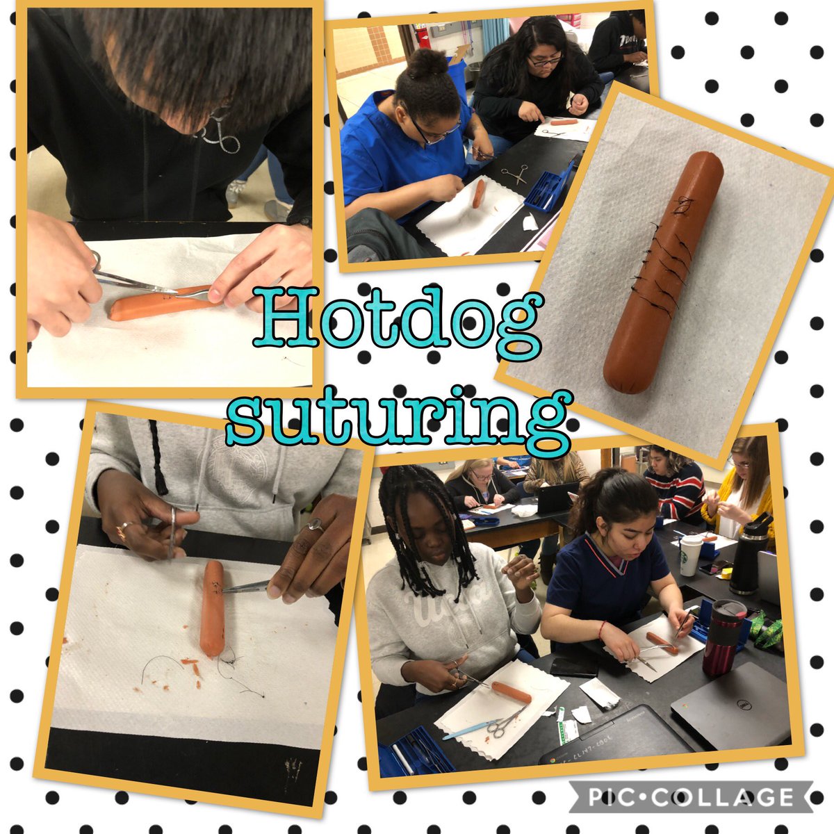 CTC AoHP (@aohpctc) on Twitter photo Medical Assisting conquering suturing using hotdogs! <a href="/CTCPrincipal/">CTC Principal</a> <a href="/FrederickCTC/">FCPS_CareerTech</a> <a href="/FCPSCTE/">FCPSCTE</a> <a href="/YohoDebbie/">Debbie Yoho</a> Medical Assisting conquering suturing using hotdogs! <a href="/CTCPrincipal/">CTC Principal</a> <a href="/FrederickCTC/">FCPS_CareerTech</a> <a href="/FCPSCTE/">FCPSCTE</a> <a href="/YohoDebbie/">Debbie Yoho</a>