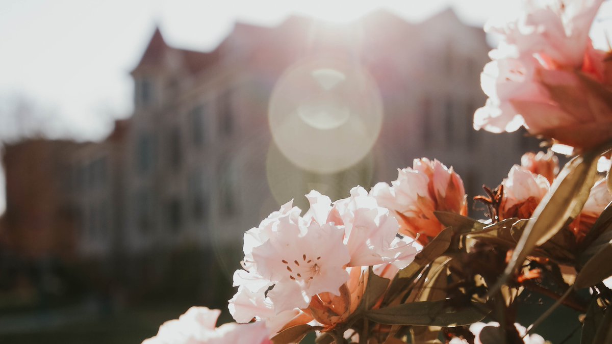 A beautiful Friday.

Make the most of it! 🌸